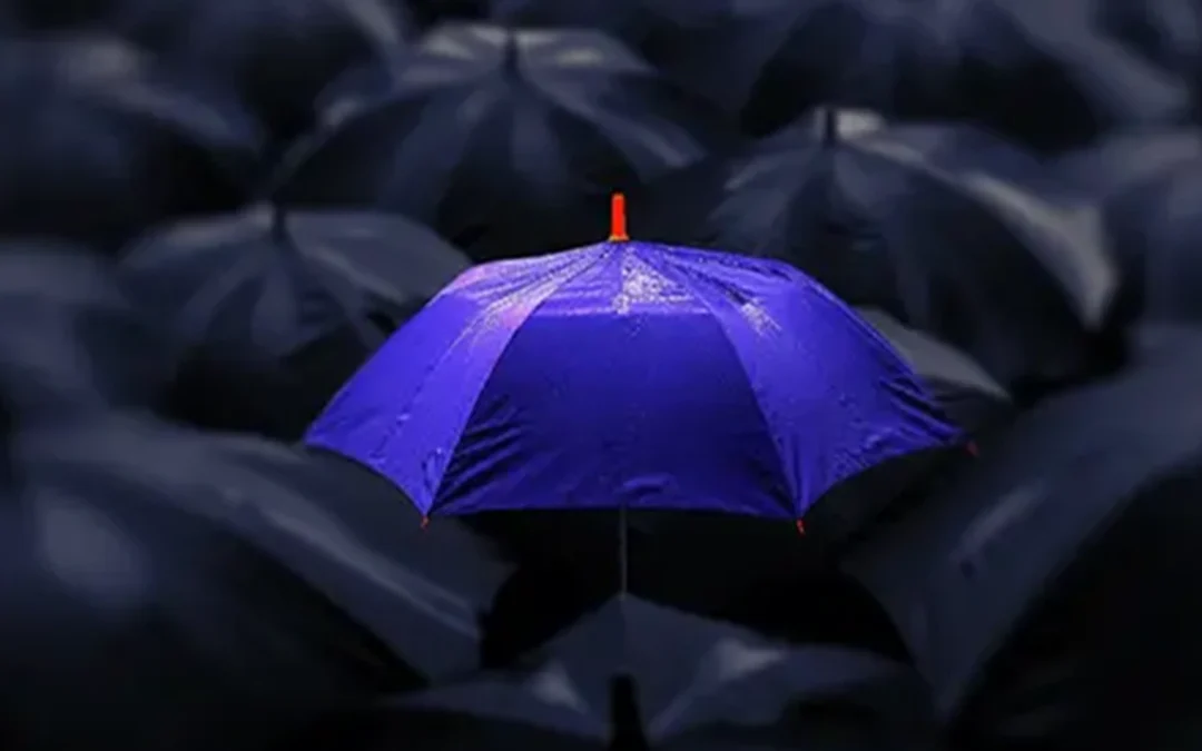 Risk Exposure Insights